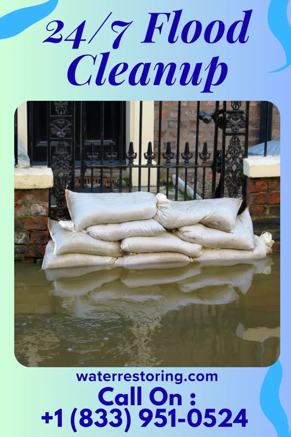 24/7 Flood Cleanup in East Freehold, NJ