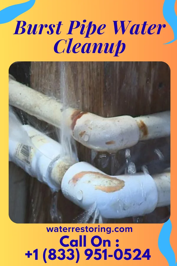 Burst Pipe Water Cleanup in East Freehold, NJ