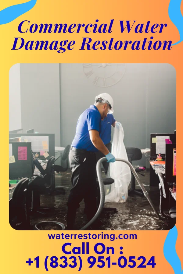 Commercial Water Damage Restoration in East Freehold, NJ