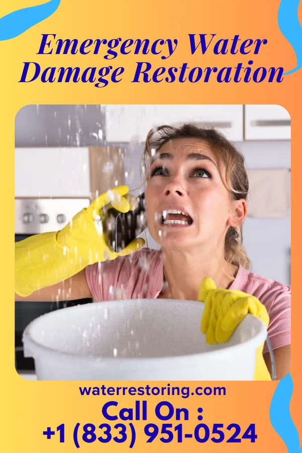 Emergency Water Damage Restoration in East Freehold, NJ