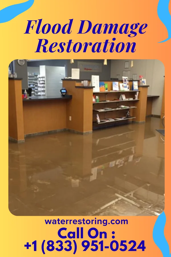 Flood Damage Restoration in East Freehold, NJ