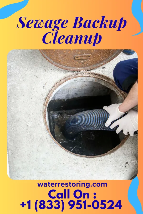 Sewage Backup Cleanup in East Freehold, NJ