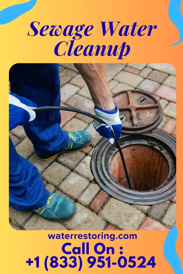 Sewage Water Cleanup in East Freehold, NJ